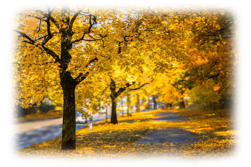 コスメコンシェルジュに習うシリーズ秋～冬