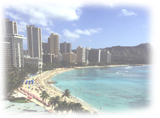 ハワイでのレイは、ただのアクセサリーや衣装の一部ではなく、ハワイの歴史・文化・祈り・宗教・思いなどが含まれているとても意味のあるものだそうです。