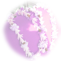 今日のハワイでも、歓迎やお祝い、愛情・感謝・尊敬の気持ち、幸せを願って、レイを日常的に贈り合う習慣があるのだそうです。