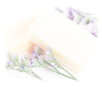 冬から春へ、季節の変わり目の知っておきたいお肌のお手入れのポイントをお伝えします